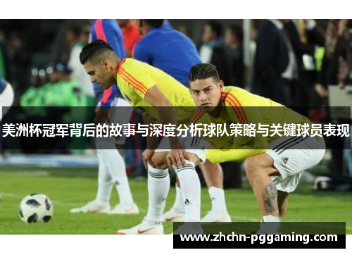 美洲杯冠军背后的故事与深度分析球队策略与关键球员表现