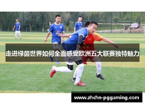 走进绿茵世界如何全面感受欧洲五大联赛独特魅力