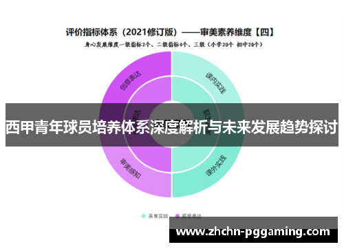 西甲青年球员培养体系深度解析与未来发展趋势探讨